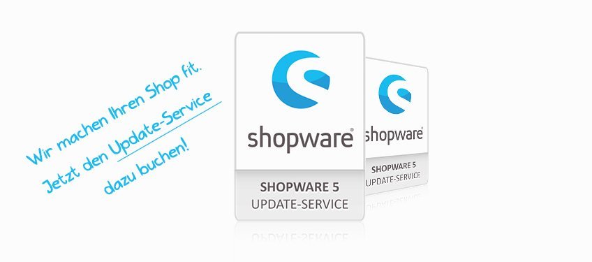 Shopware 5 Update Service